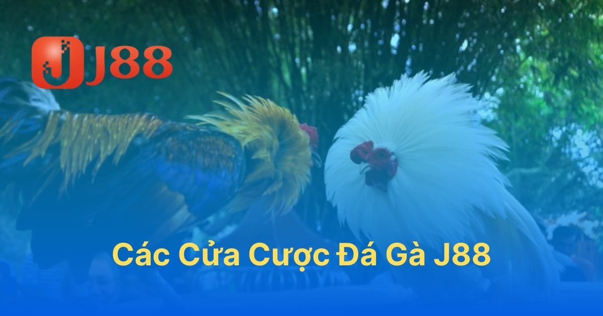 các cửa cược đá gà tại J88